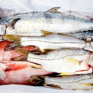 Fish